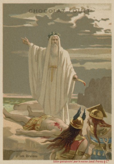 Los druidas de European School